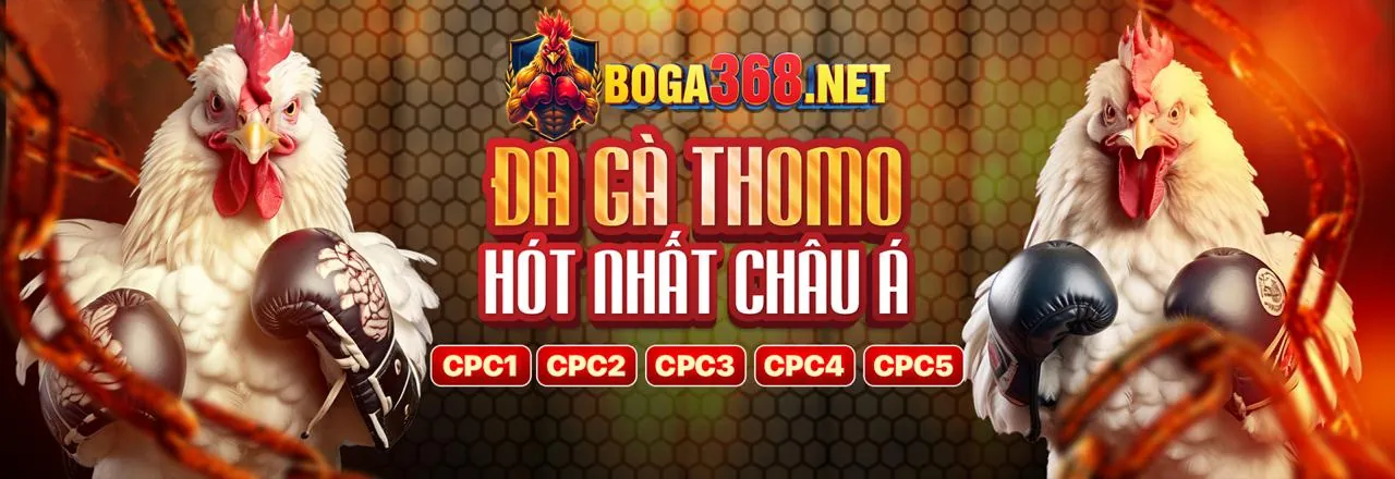Hoàn trả hàng ngày 88v